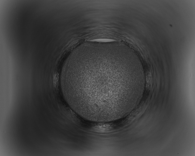 X0000095670278200801291143