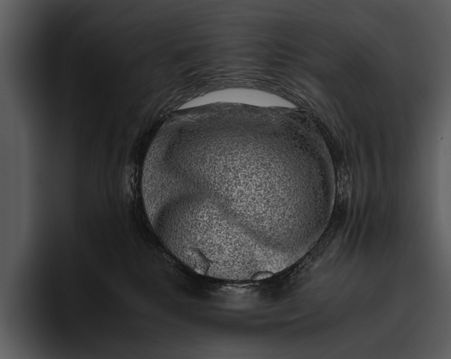 X0000095670280200801291143