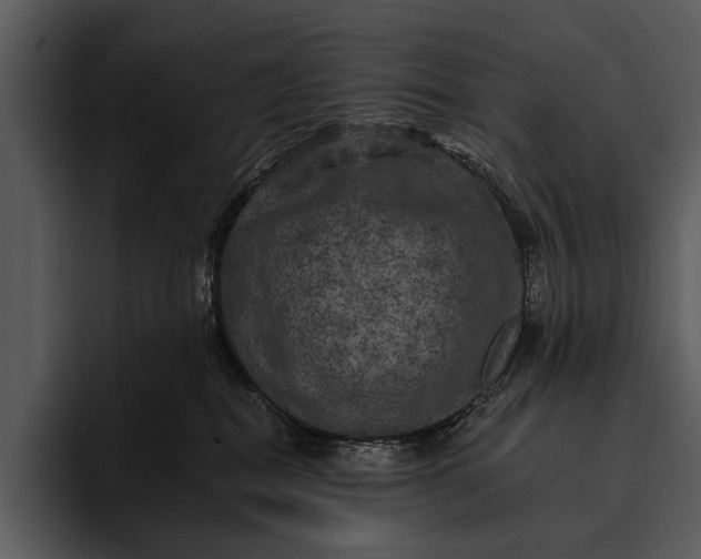 X0000095670282200801291143