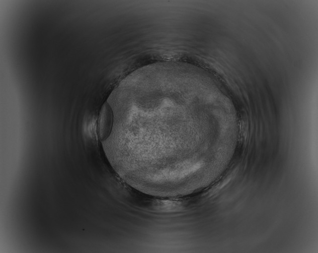 X0000095670286200801291143