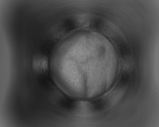 X0000095670287200801291143