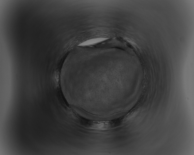 X0000095670288200801291143