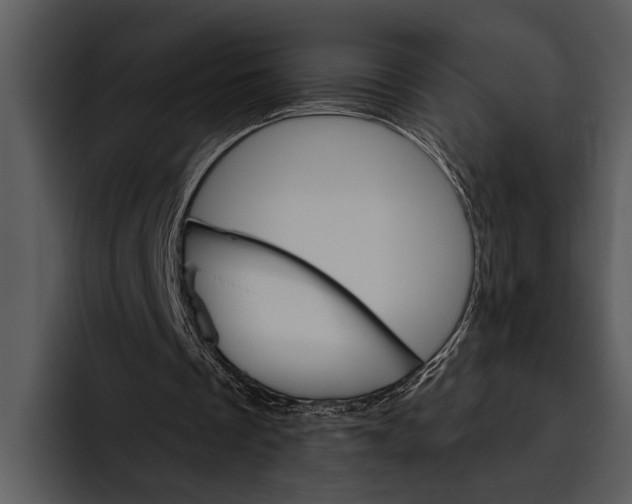 X0000095670289200801291142