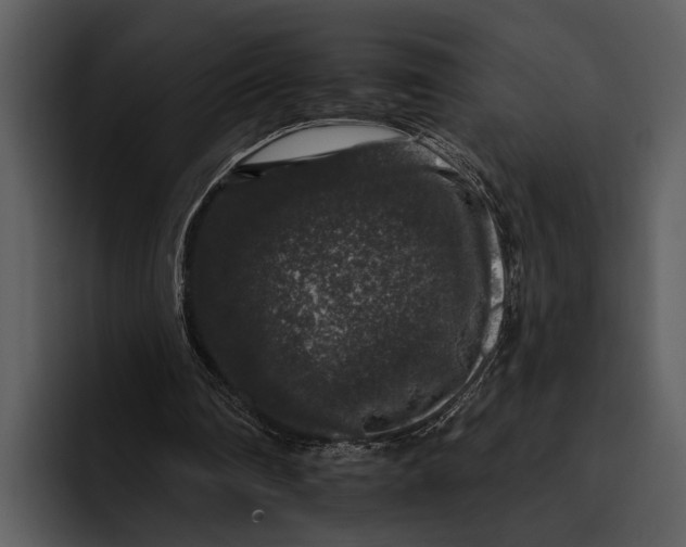 X0000095670290200801291142