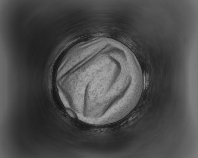 X0000095670291200801291142