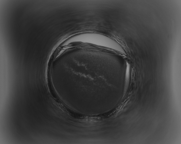 X0000095670292200801291142