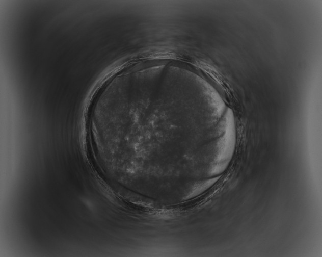 X0000095670293200801291142