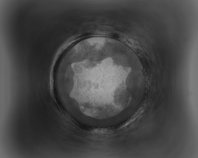 X0000095670294200801291142