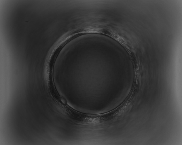 X0000095670295200801291142