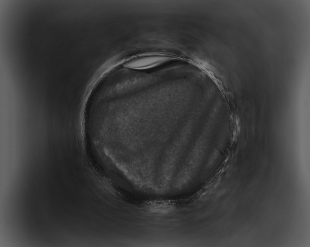 X0000095670296200801291142