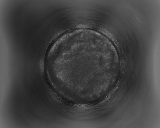 X0000095670297200801291142