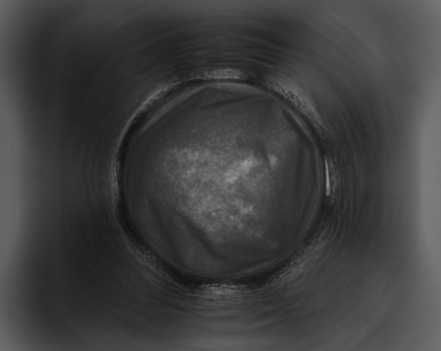 X0000095670300200801291142