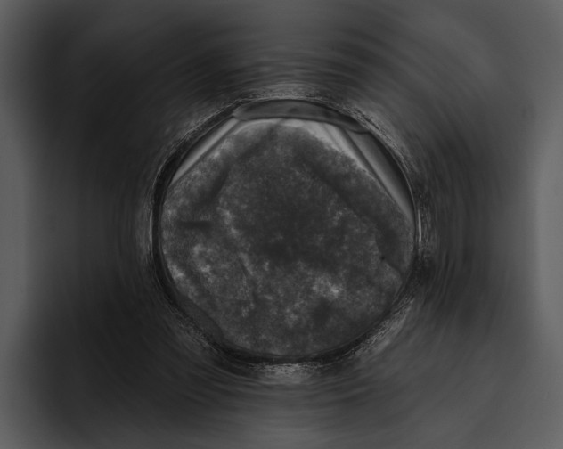 X0000095670301200801291142