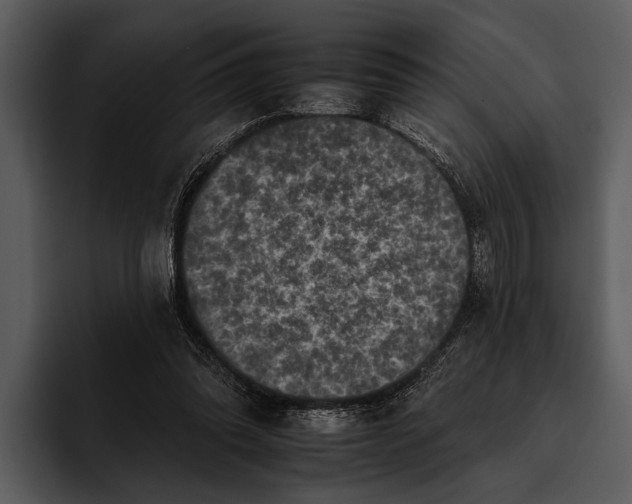 X0000095670302200801291142