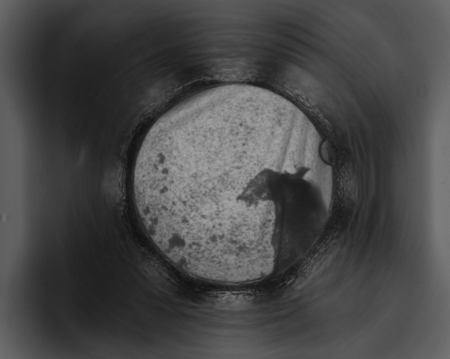 X0000095670303200801291142