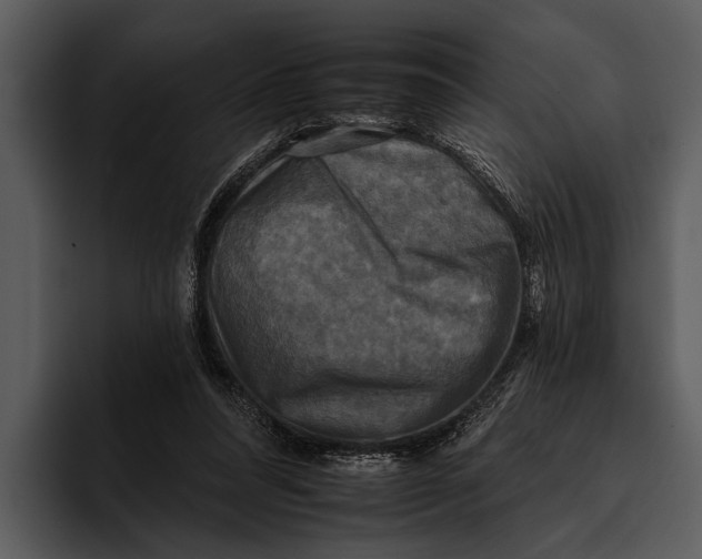 X0000095670304200801291142