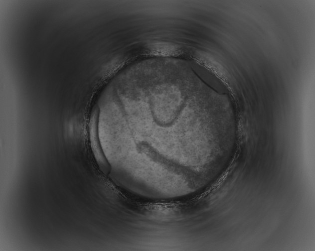 X0000095670305200801291142