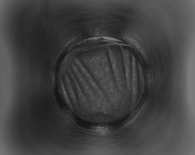 X0000095670308200801291142