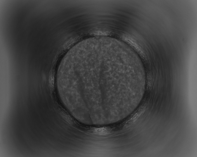 X0000095670309200801291142