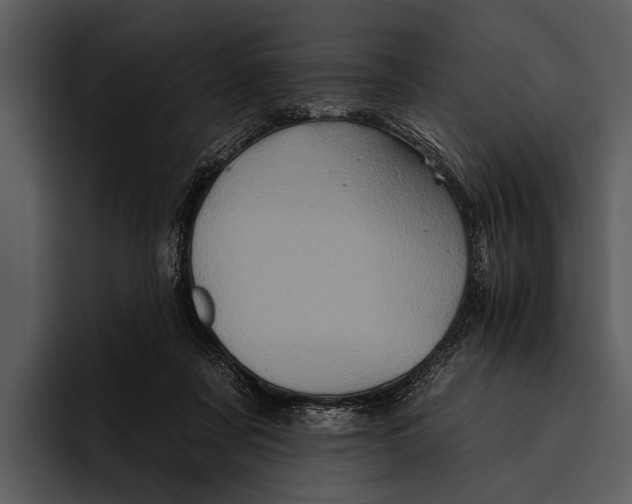 X0000095670311200801291142