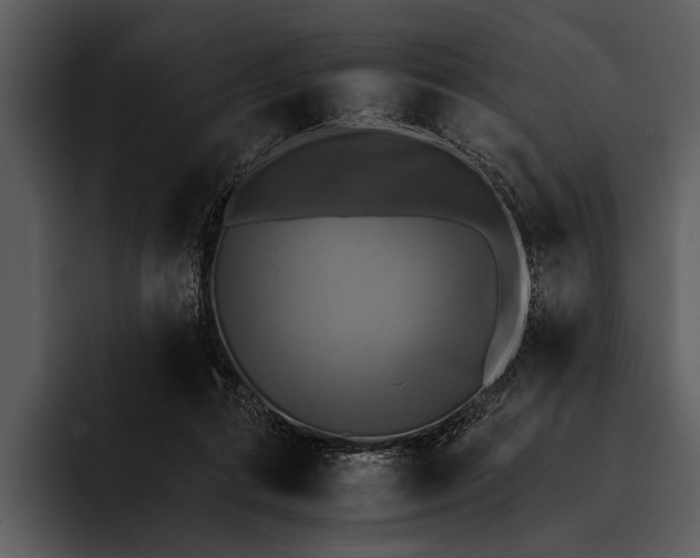 X0000095670312200801291142