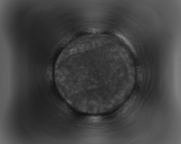 X0000095670313200801291142