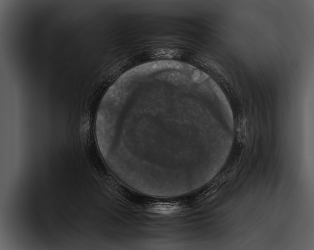 X0000095670314200801291142