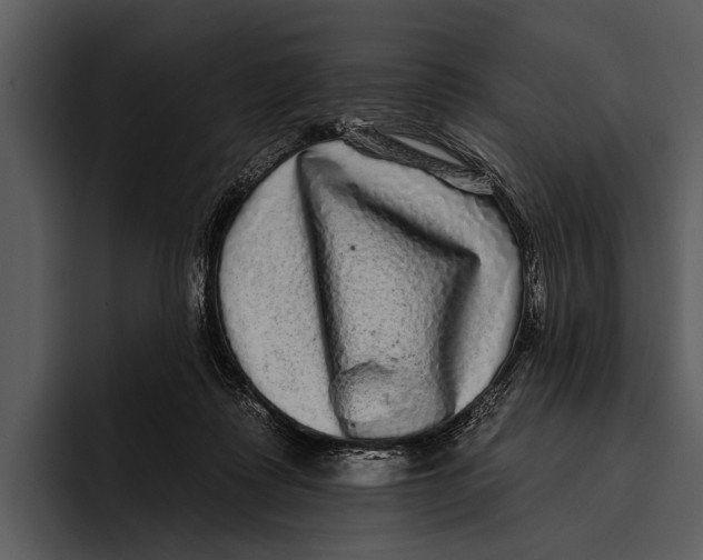 X0000095670315200801291142