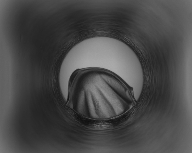 X0000095670316200801291142