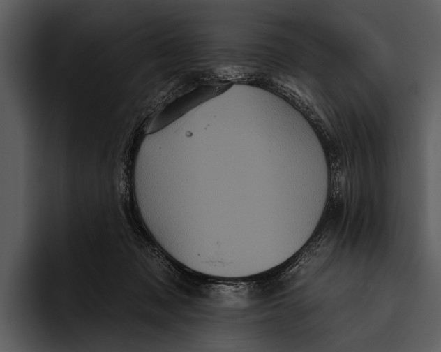 X0000095670317200801291142