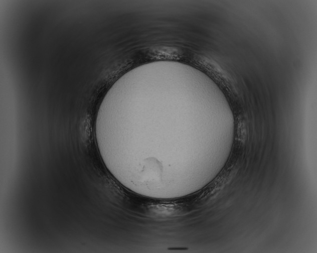 X0000095670318200801291142