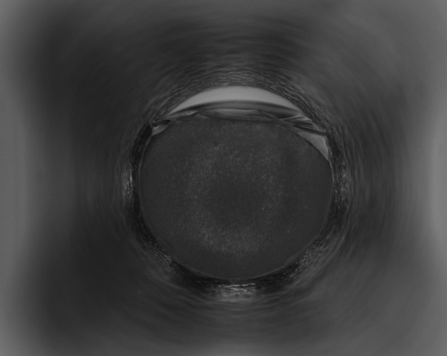 X0000095670320200801291142