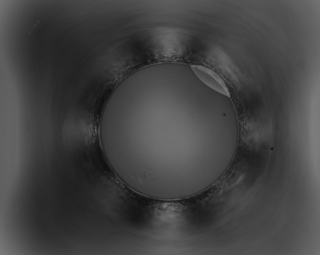 X0000095670324200801291142