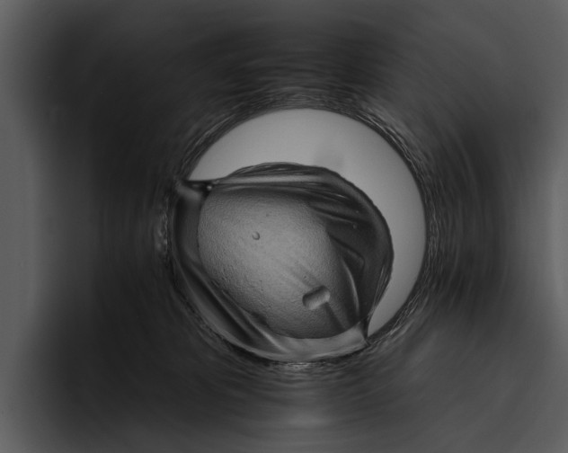 X0000095670325200801291142