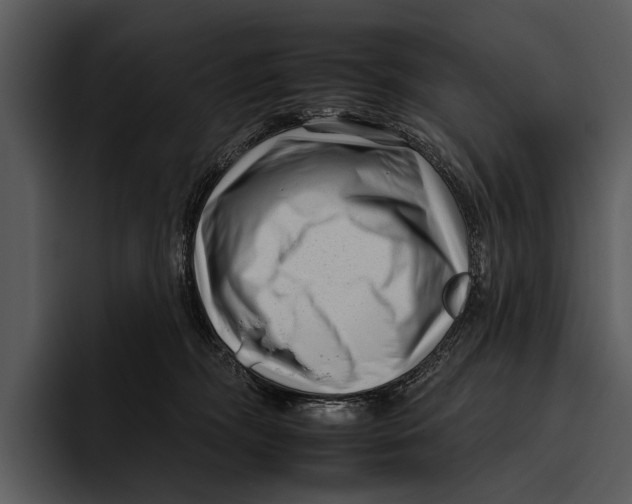 X0000095670326200801291142