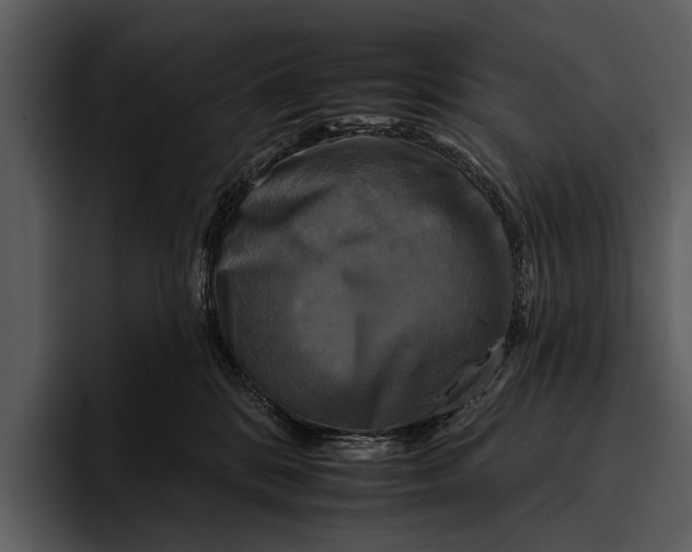 X0000095670328200801291142