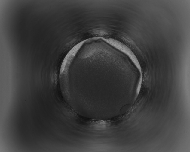 X0000095670330200801291142