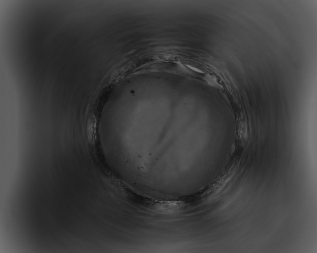 X0000095670332200801291142