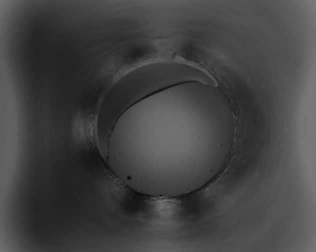 X0000095670336200801291142