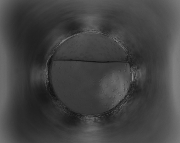 X0000095670339200801291141