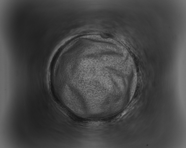 X0000095670342200801291141