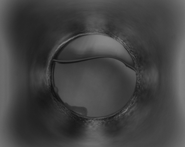 X0000095670343200801291141