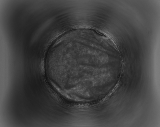 X0000095670345200801291141