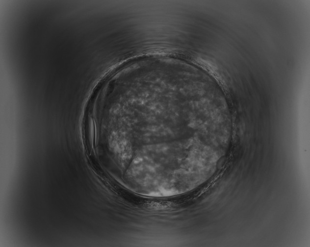 X0000095670346200801291141