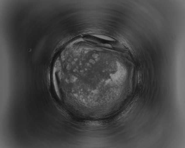 X0000095670349200801291141