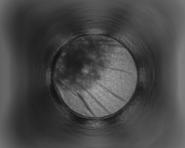 X0000095670351200801291141