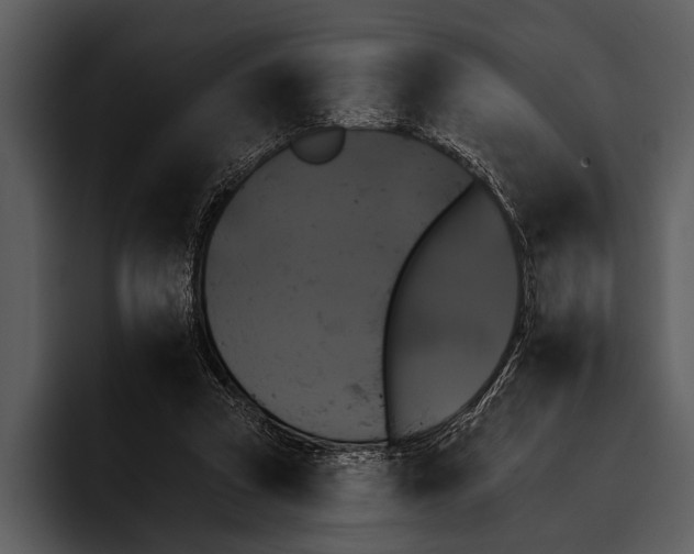 X0000095670353200801291141