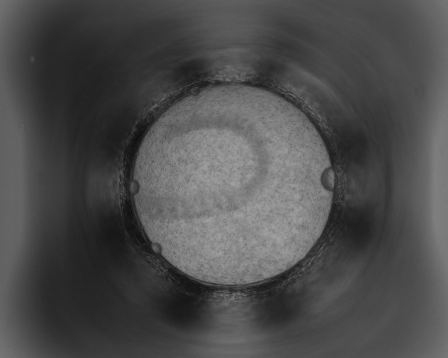 X0000095670354200801291141