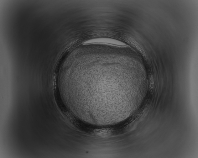 X0000095670356200801291141