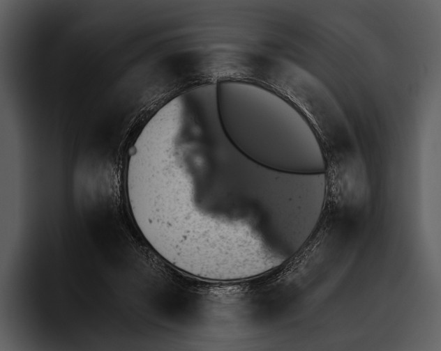 X0000095670357200801291141